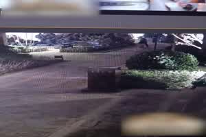 门事件 火爆热瓜兰州老街情侣8分46秒视频一夜火遍网络 网友他俩太会玩了 这瓜真甜 五星好评  背景图片