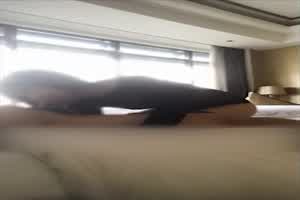 上海小骚逼叫醒服务活好2分半就直接口爆了抵挡不住  背景图片