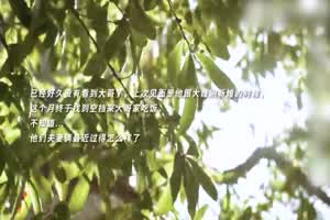 李蓉蓉 在大哥家偷操大嫂  背景图片